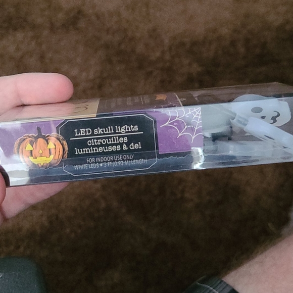 Halloween led skull lights small string of 10 - Picture 4 of 4